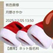 ヒメ日記 2025/12/05 12:05 投稿 月野さやか　(つきのさやか） 桃色奥様(佐賀)
