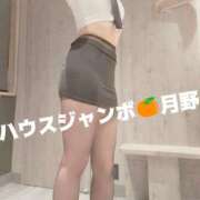 ヒメ日記 2025/12/07 02:03 投稿 月野さやか　(つきのさやか） 桃色奥様(佐賀)