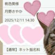 ヒメ日記 2025/12/08 12:55 投稿 月野さやか　(つきのさやか） 桃色奥様(佐賀)