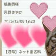 ヒメ日記 2025/12/09 01:25 投稿 月野さやか　(つきのさやか） 桃色奥様(佐賀)