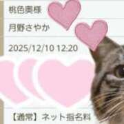 ヒメ日記 2025/12/10 12:05 投稿 月野さやか　(つきのさやか） 桃色奥様(佐賀)