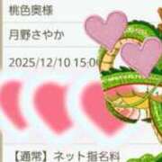ヒメ日記 2025/12/10 14:55 投稿 月野さやか　(つきのさやか） 桃色奥様(佐賀)