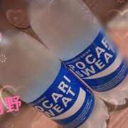 ヒメ日記 2025/12/10 17:45 投稿 月野さやか　(つきのさやか） 桃色奥様(佐賀)