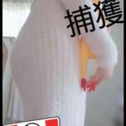 ヒメ日記 2025/12/11 10:45 投稿 月野さやか　(つきのさやか） 桃色奥様(佐賀)