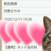 ヒメ日記 2025/12/12 09:54 投稿 月野さやか　(つきのさやか） 桃色奥様(佐賀)