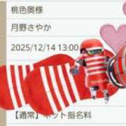 ヒメ日記 2025/12/13 12:05 投稿 月野さやか　(つきのさやか） 桃色奥様(佐賀)