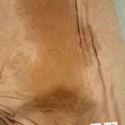 ヒメ日記 2025/12/14 08:51 投稿 月野さやか　(つきのさやか） 桃色奥様(佐賀)