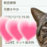 ヒメ日記 2025/12/15 11:15 投稿 月野さやか　(つきのさやか） 桃色奥様(佐賀)