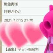 ヒメ日記 2025/12/15 17:35 投稿 月野さやか　(つきのさやか） 桃色奥様(佐賀)