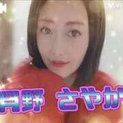 ヒメ日記 2025/12/16 08:30 投稿 月野さやか　(つきのさやか） 桃色奥様(佐賀)