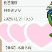 ヒメ日記 2025/12/17 14:05 投稿 月野さやか　(つきのさやか） 桃色奥様(佐賀)