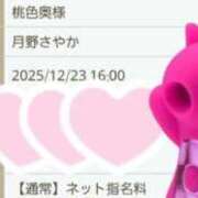 ヒメ日記 2025/12/19 13:55 投稿 月野さやか　(つきのさやか） 桃色奥様(佐賀)