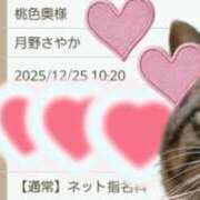 ヒメ日記 2025/12/20 12:13 投稿 月野さやか　(つきのさやか） 桃色奥様(佐賀)