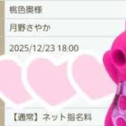 ヒメ日記 2025/12/23 10:30 投稿 月野さやか　(つきのさやか） 桃色奥様(佐賀)