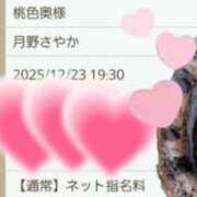ヒメ日記 2025/12/23 10:45 投稿 月野さやか　(つきのさやか） 桃色奥様(佐賀)