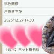 ヒメ日記 2025/12/23 14:15 投稿 月野さやか　(つきのさやか） 桃色奥様(佐賀)