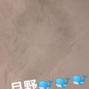 ヒメ日記 2025/12/24 19:57 投稿 月野さやか　(つきのさやか） 桃色奥様(佐賀)