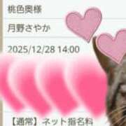 ヒメ日記 2025/12/25 21:45 投稿 月野さやか　(つきのさやか） 桃色奥様(佐賀)