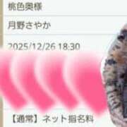 ヒメ日記 2025/12/26 11:05 投稿 月野さやか　(つきのさやか） 桃色奥様(佐賀)