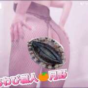 ヒメ日記 2025/12/26 11:35 投稿 月野さやか　(つきのさやか） 桃色奥様(佐賀)