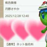 ヒメ日記 2025/12/27 21:25 投稿 月野さやか　(つきのさやか） 桃色奥様(佐賀)