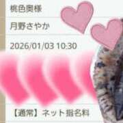 ヒメ日記 2025/12/28 17:05 投稿 月野さやか　(つきのさやか） 桃色奥様(佐賀)