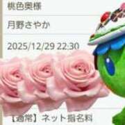 ヒメ日記 2025/12/29 11:05 投稿 月野さやか　(つきのさやか） 桃色奥様(佐賀)