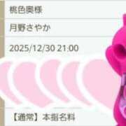 ヒメ日記 2025/12/30 06:23 投稿 月野さやか　(つきのさやか） 桃色奥様(佐賀)