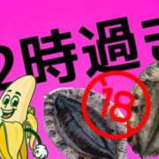 ヒメ日記 2025/12/30 06:55 投稿 月野さやか　(つきのさやか） 桃色奥様(佐賀)