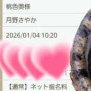 ヒメ日記 2025/12/30 11:45 投稿 月野さやか　(つきのさやか） 桃色奥様(佐賀)