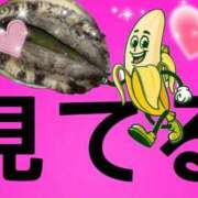 ヒメ日記 2026/01/02 21:25 投稿 月野さやか　(つきのさやか） 桃色奥様(佐賀)