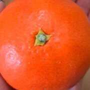 ヒメ日記 2026/01/03 10:15 投稿 月野さやか　(つきのさやか） 桃色奥様(佐賀)