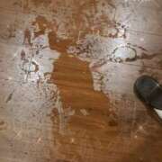 ヒメ日記 2026/01/07 12:35 投稿 月野さやか　(つきのさやか） 桃色奥様(佐賀)