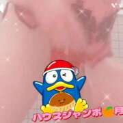 ヒメ日記 2026/01/08 12:25 投稿 月野さやか　(つきのさやか） 桃色奥様(佐賀)