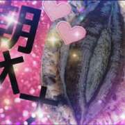 ヒメ日記 2026/01/11 06:45 投稿 月野さやか　(つきのさやか） 桃色奥様(佐賀)