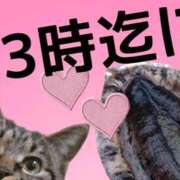ヒメ日記 2026/01/12 22:05 投稿 月野さやか　(つきのさやか） 桃色奥様(佐賀)