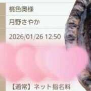 ヒメ日記 2026/01/26 11:05 投稿 月野さやか　(つきのさやか） 桃色奥様(佐賀)