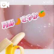 ヒメ日記 2026/01/26 20:25 投稿 月野さやか　(つきのさやか） 桃色奥様(佐賀)