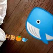 ヒメ日記 2026/02/01 01:35 投稿 月野さやか　(つきのさやか） 桃色奥様(佐賀)