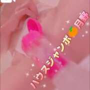 ヒメ日記 2026/02/04 17:35 投稿 月野さやか　(つきのさやか） 桃色奥様(佐賀)