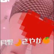 ヒメ日記 2026/02/14 22:05 投稿 月野さやか　(つきのさやか） 桃色奥様(佐賀)