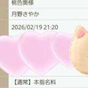 ヒメ日記 2026/02/19 17:45 投稿 月野さやか　(つきのさやか） 桃色奥様(佐賀)