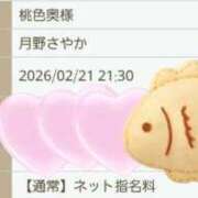 ヒメ日記 2026/02/21 19:45 投稿 月野さやか　(つきのさやか） 桃色奥様(佐賀)