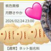 ヒメ日記 2026/02/24 19:35 投稿 月野さやか　(つきのさやか） 桃色奥様(佐賀)
