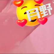 ヒメ日記 2026/03/09 18:35 投稿 月野さやか　(つきのさやか） 桃色奥様(佐賀)