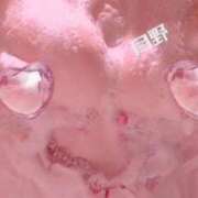 ヒメ日記 2026/03/10 08:15 投稿 月野さやか　(つきのさやか） 桃色奥様(佐賀)