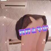 ヒメ日記 2026/03/14 09:05 投稿 月野さやか　(つきのさやか） 桃色奥様(佐賀)