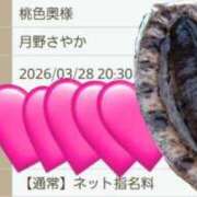 ヒメ日記 2026/03/28 19:45 投稿 月野さやか　(つきのさやか） 桃色奥様(佐賀)