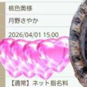 ヒメ日記 2026/04/01 11:35 投稿 月野さやか　(つきのさやか） 桃色奥様(佐賀)