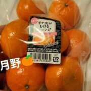 ヒメ日記 2026/04/07 10:08 投稿 月野さやか　(つきのさやか） 桃色奥様(佐賀)